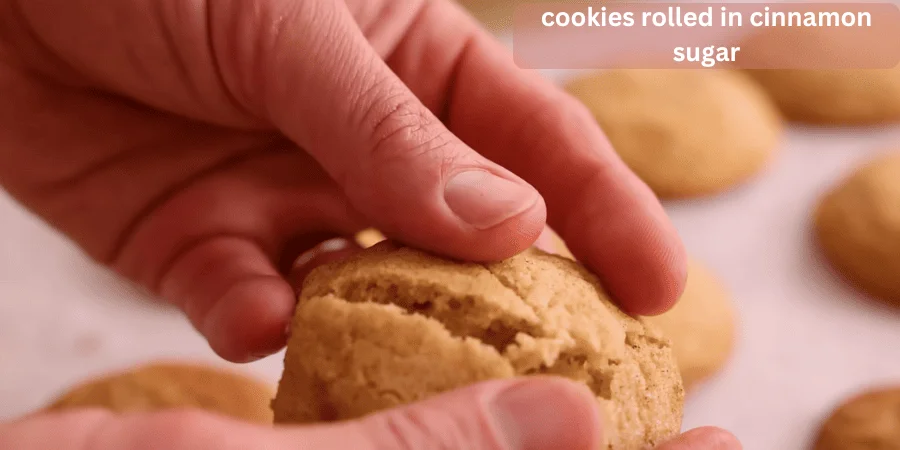 cookies rolled in cinnamon sugar