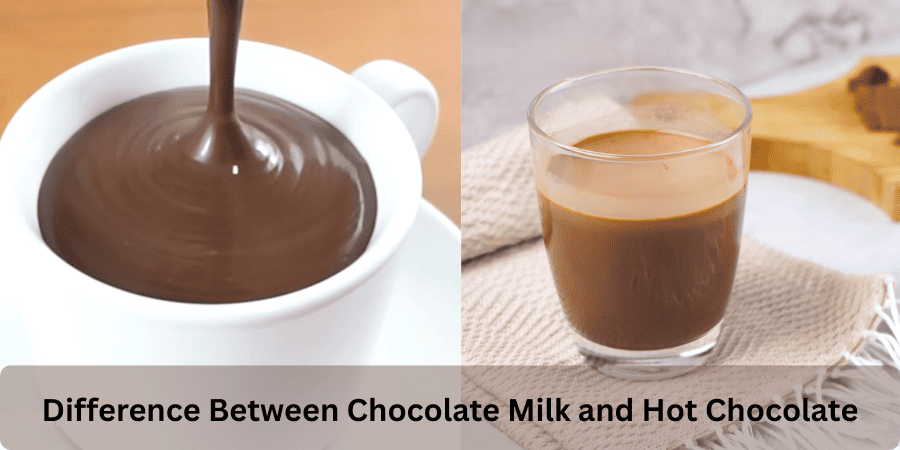 difference between chocolate milk and hot chocolate