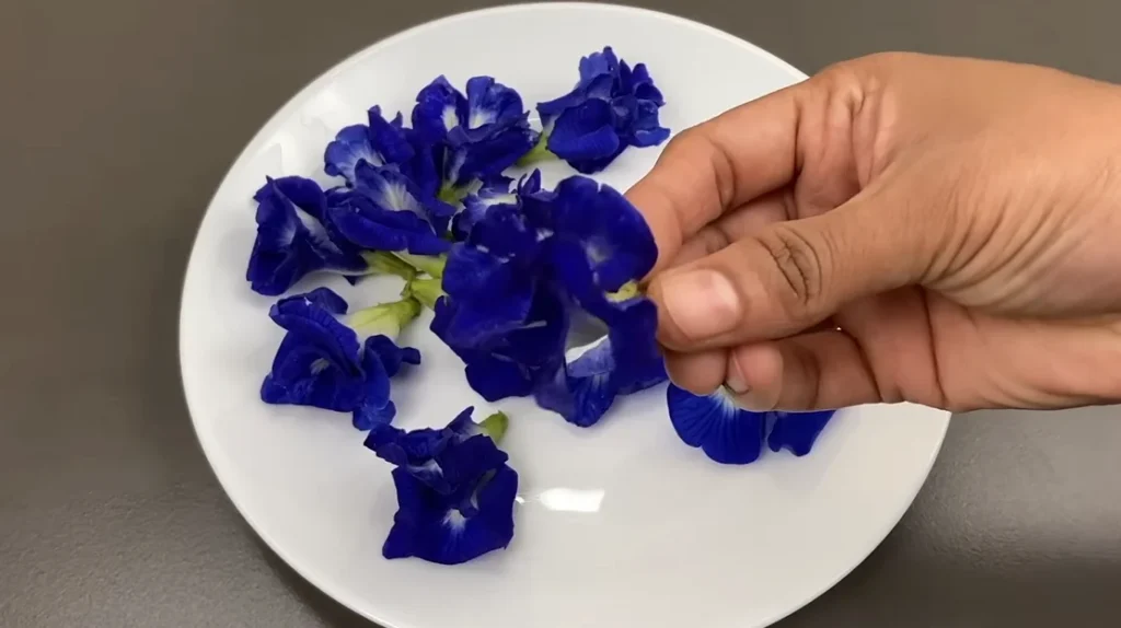 butterfly pea tea recipe step 1