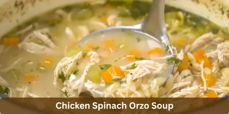 chicken spinach orzo soup