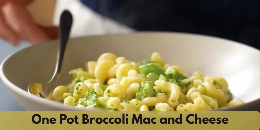 one pot broccoli mac and cheese