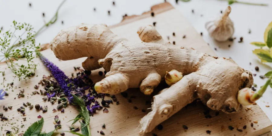Fresh ginger root and a garlic bulb on a wooden cutting board with herbs and peppercorns